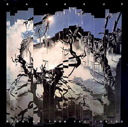 Capa do álbum Burning from the Inside, do Bauhaus