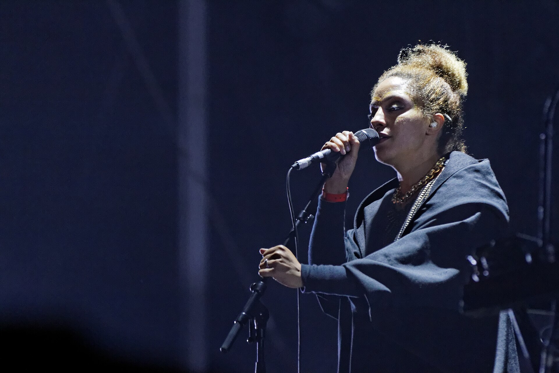 Massive Attack em apresentação na Fête de l’Humanité em 2014