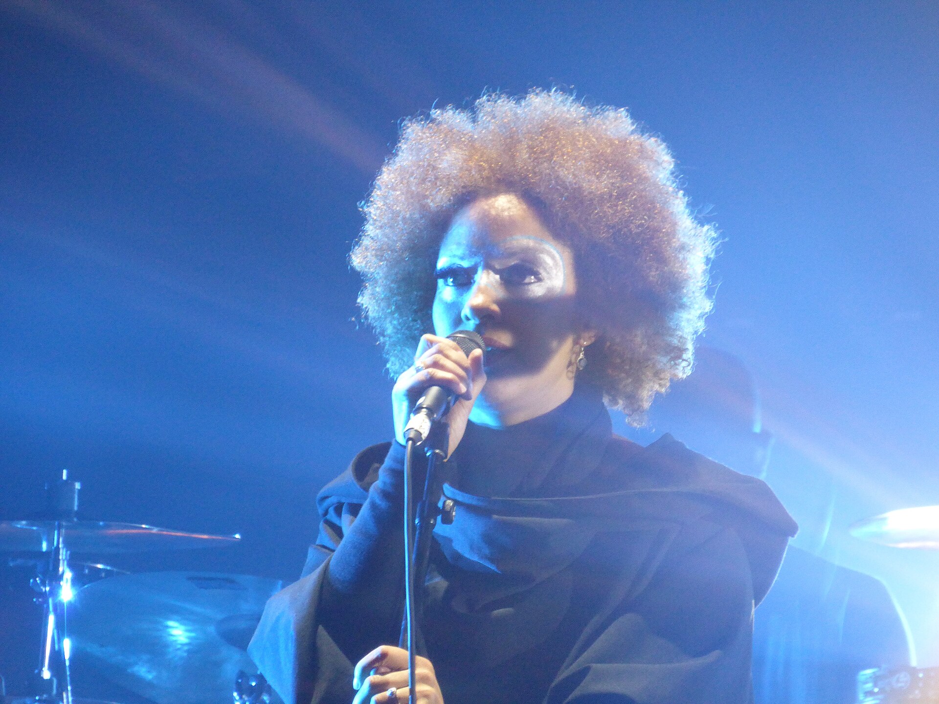 Massive Attack se apresentando no Treasure Island Music Festival em 2014
