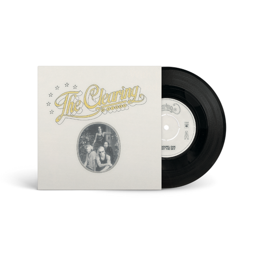 Capa promocional de The Clearing (B Sides), do Wolf Alice
