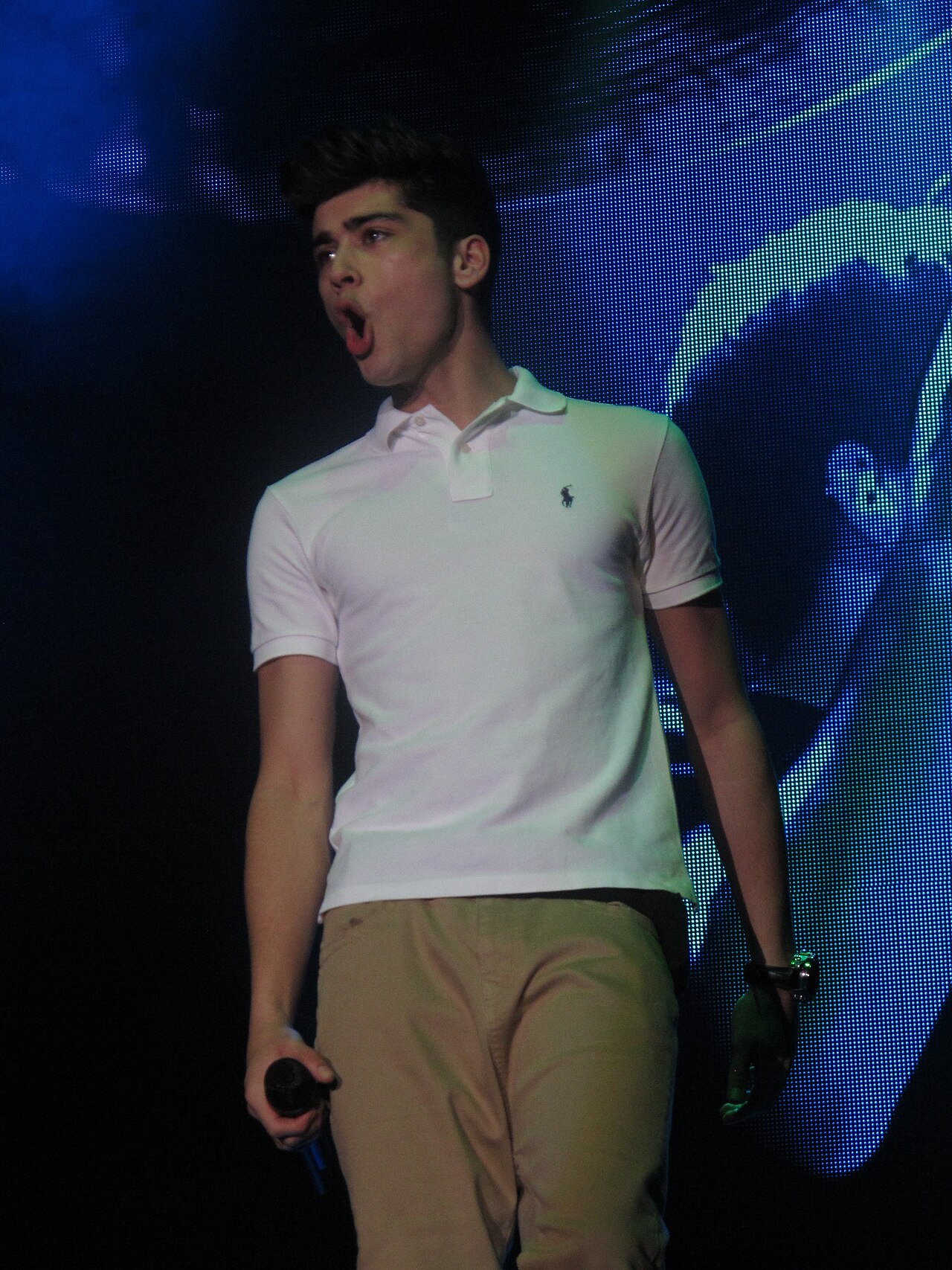 ZAYN em show